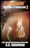 Book cover for Seed of Sin (Edge of Reflection #3)
