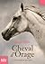 Cheval d'Orage ( Tome 1 - Un champion sans prix ) by Lauren St. John