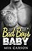 Bad Boy's Baby