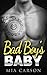 Bad Boy's Baby