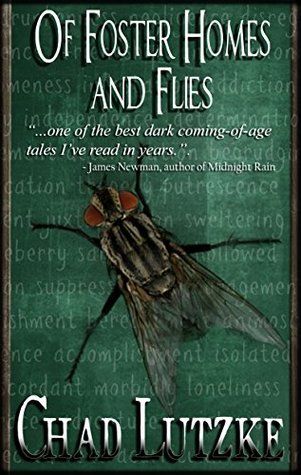 Of Foster Homes and Flies (A Coming of Age Dramatic Thriller)