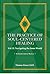 The Practice of Soul-Centered Healing, Vol. II: Navigating the Inner World