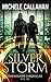 Silver Storm (Timewalker Chronicles Book 2)