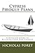 Cypress Pirogue Plans: A Detailed Guide to Building Your Own Pirogue