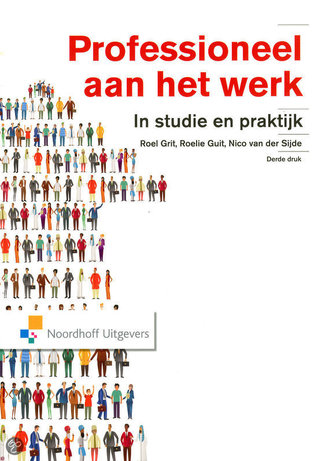Professioneel aan het werk (Paperback)