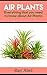 Air Plants by Ray Abel