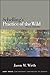 Schelling's Practice of the Wild: Time, Art, Imagination (SUNY series in Contemporary Continental Philosophy)