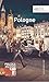 Pologne - Polish Tourist organisation 2016 Petit Futé (French Edition)