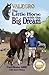 Valegro – The Little Horse ...