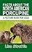 Facts About The North American Porcupine (A Picture Book For Kids 120)
