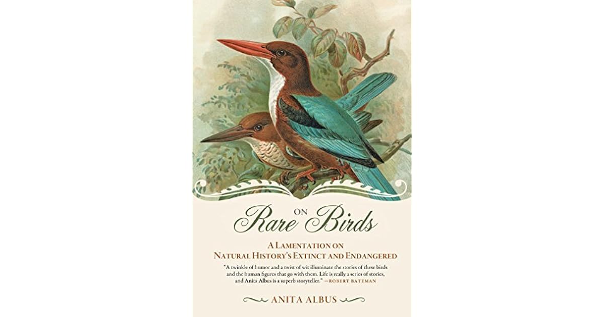 On Rare Birds A Lamentation On Natural History S Extinct And Endangered By Anita Albus