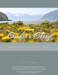 From Garden to Glory: A Bible Study on the Bible's Story (Paperback)