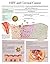 HPV and Cervical Cancer e-chart: Full illustrated