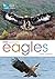 RSPB Spotlight: Eagles