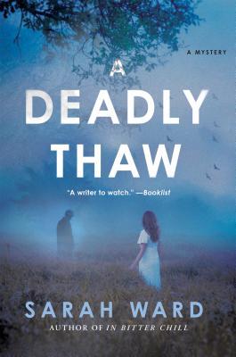 A Deadly Thaw (DC Connie Childs, #2)
