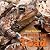 The Hidden Life of a Toad