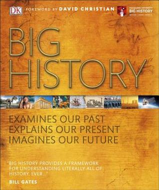 Big History (Hardcover)