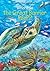Where Is the Great Barrier Reef?