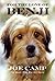 For The Love of Benji