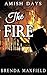 The Fire (Mellie's Story #3)