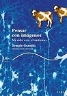Pensar con imágen...