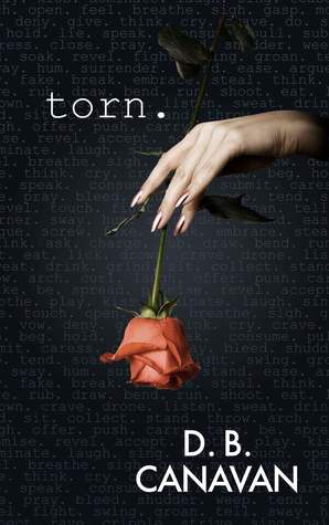 Torn (Torn, #1)