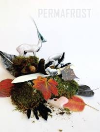 Permafrost Vol. 38, Issue 1