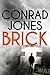 Brick (DI Braddick, #1)