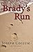 Brady's Run (The Max Brady Mysteries Book 1)