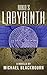 Roko's Labyrinth by Michael Blackbourn