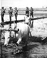 China-Burma-India