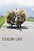 Stealing Love