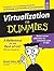 Virtualization for Dummies