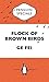Flock of Brown Birds