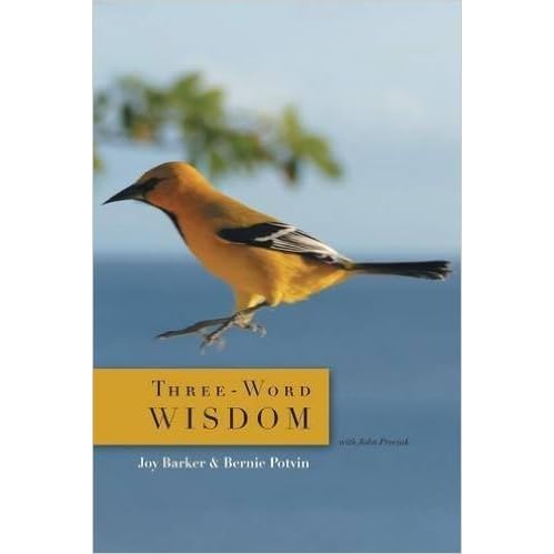 Three Word Wisdom By Joy Barker