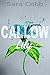 Callow Lily