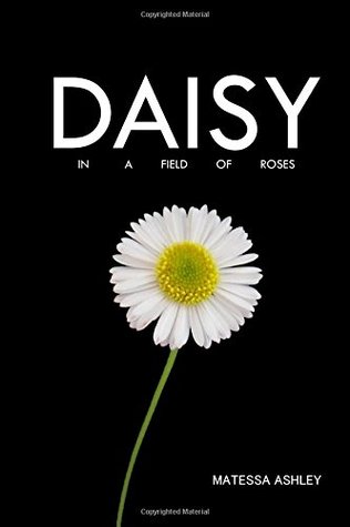 Daisy in a Field of Roses