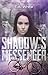 Shadow's Messenger (Aileen Travers, #1)