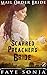 The Scarred Preacher’s Bride (Mail Order Brides of Colorado, #2)