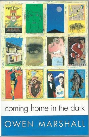 Coming home in the dark (Paperback)
