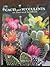 Cacti and Succulents: An Il...