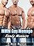 MMM Gay Menage: 3 Book Bundle