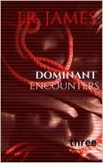 Dominant Encounters: Three (Dominant Encounters, #3)