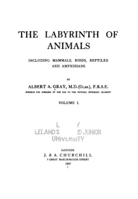 The Labyrinth of Animals (Hardcover)