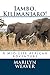 Jambo, Kilimanjaro!: A Mid-Life African Adventure
