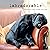 Labradorable: Labradors at ...