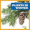 Plants in Winter by Jennifer Fretland Vanvoorst