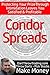 The Condor Strategy | How to Become an Options Trader: Because Protecting Your Prize Through Intimidation Leaves You Satisfied And Profitable. (Stock Options ... Traders From a 30 Year Trading Veteran)