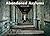 Abandoned Asylums (Jonglez photo books)
