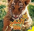 Tiger: Arabic-English Bilingual Edition (I Am)